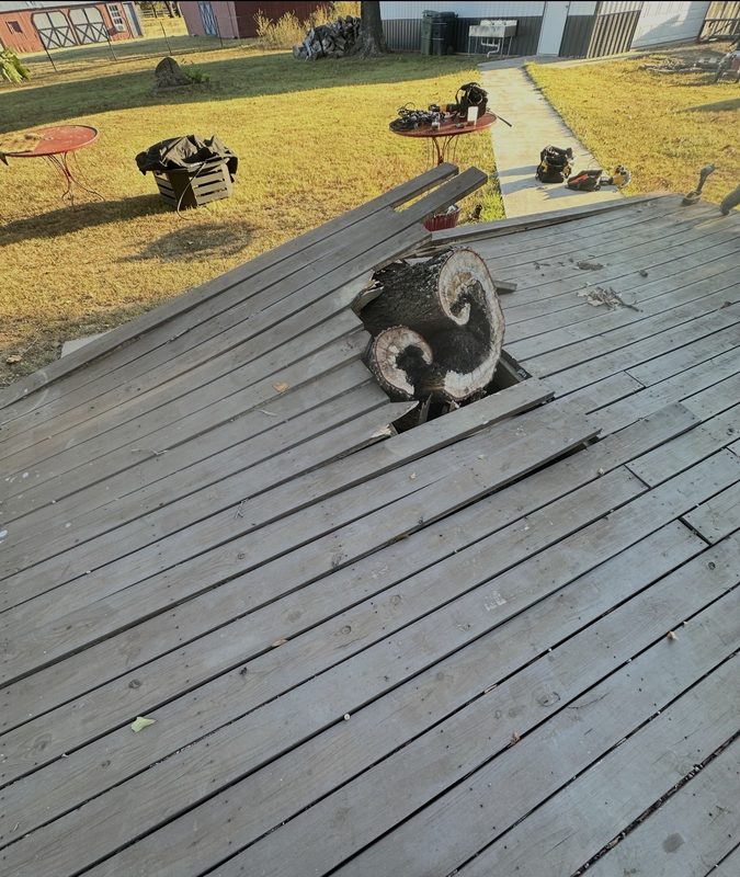 Old backyard deck with a tree stump grown up through the broken boards